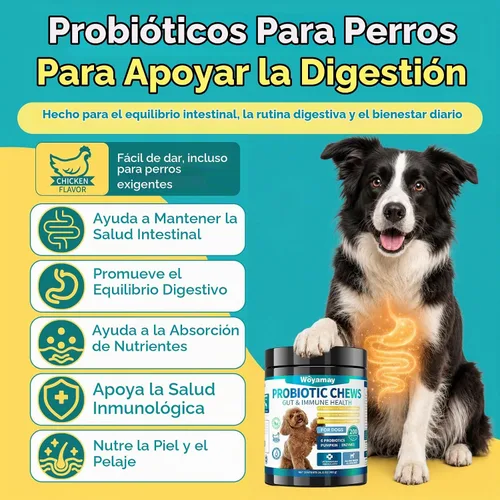 Vista 2 de Woyamay Probióticos para perros, probióticos masticables para perros, apoyo intestinal y digestivo