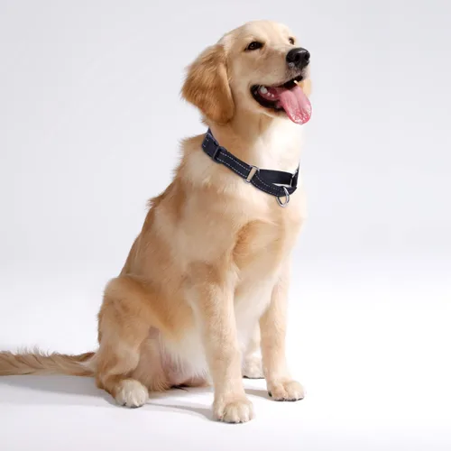 Vista 2 de Serijoars Martingale - Collar para perro, collar ajustable de nailon para entrenamiento, collar martingala reflectante para perros pequeños, Negro