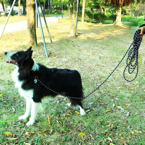 Vista 8 de Correa larga para perros para entrenamiento de 16 pies/20 pies/30 pies/50 pies/100 pies, correa reflectante con gancho bloqueable, cuerda resistente