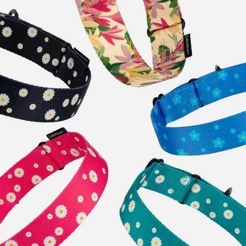 Vista 6 de CollarDirect Martingale - Collar de nailon resistente para perros pequeños, medianos y grandes [nailon, estampado, aguamarina, L, 15-20 pulgadas)