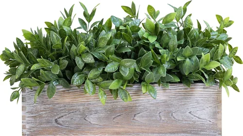Vista 14 de Winlyn Planta de boj artificial de 14 pulgadas, arreglo de vegetación de boj sintético en negro, maceta rectangular de madera en maceta, planta