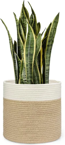Vista 10 de Dahey - Cesta tejida pequeña de cuerda de algodón para plantas, cesta enrollada para macetas de hasta 7 pulgadas, cesta decorativa para cubrir