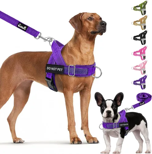 Vista 10 de Lukovee Juego de arnés y correa para perro sin tirones, chaleco acolchado suave ajustable con clip frontal para un fácil control, arnés reflectante