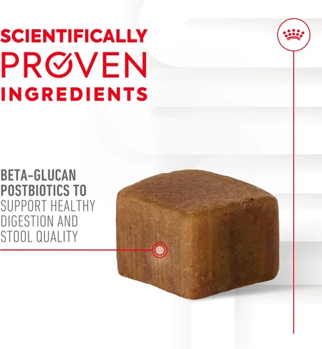 Vista 2 de Royal Canin - Suplemento digestivo para perros adultos, masticables suaves, 60