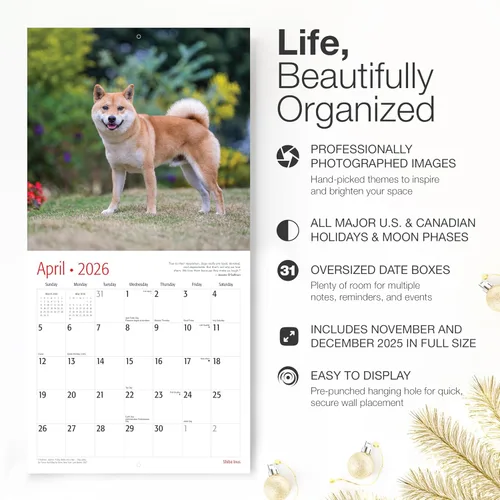 Vista 2 de RED EMBER Shiba Inus - Calendario de pared 2026 de 12 meses 12 x 24 pulgadas abierto Papel grueso y resistente Regalo de vacaciones Lindo