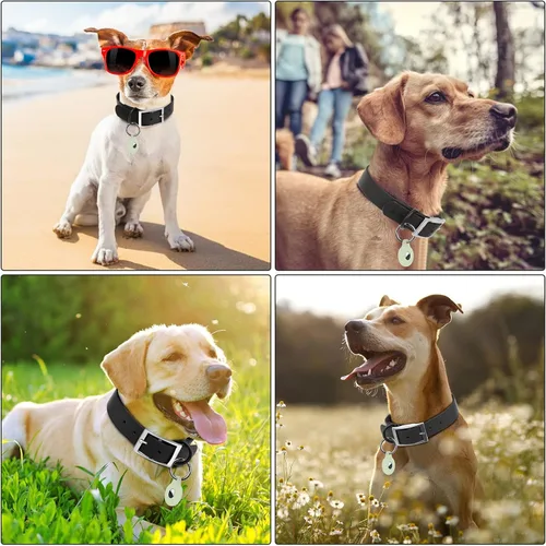 Vista 4 de Wisedog Collar de perro impermeable: ajuste múltiple de 7 a 23.6 pulgadas, correa recubierta de goma suave, fácil de limpiar, para perros pequeños