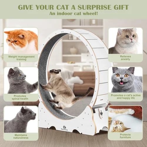 Vista 3 de Rueda para gatos, 53 pulgadas XXL grande con alfombra desmontable para gatos de interior Blanco
