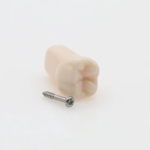 Vista 7 de Dientes dentales Typodont modelo 28 dientes extraíbles compatibles con Kilgore Nissin estudio de enseñanza completamente desmontable, con un