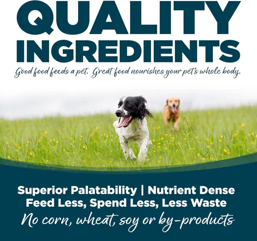 Vista 4 de NutriSource Alimento seco para perros adultos, bocados pequeños, pollo y arroz, 4 libras Soporte probiótico y prebiótico, grano inclusivo, sin