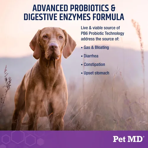 Vista 2 de Pet MD Probióticos y enzimas para perros - Masticables para la salud intestinal con prebióticos - Ayuda digestiva para perros con malestar