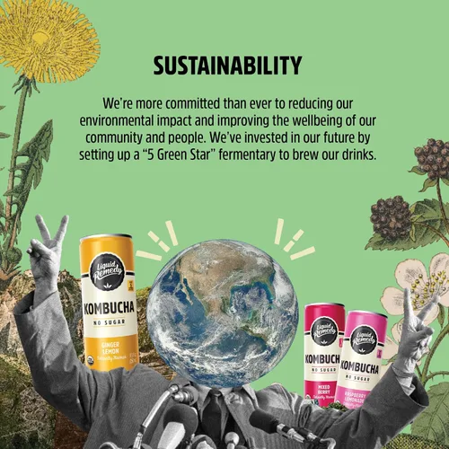 Vista 8 de Remedy Kombucha Bebida orgánica de té, sin azúcar, ceto, vegano y sin gluten, bebida de cultivo vivo, bebida elaborada por lotes pequeños, jengibre