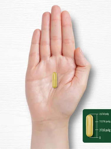 Vista 8 de Carlyle Berberina con canela de Ceilán Complejo de 2000mg 60 cápsulas Vegetariano, sin OGM, sin gluten