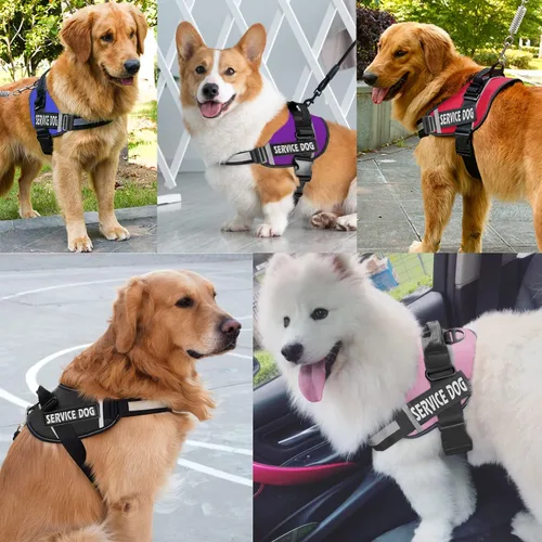Vista 5 de JSXD - Arnés para perro, sin tirones, con asa ajustable, para exteriores, chaleco de nailon reflectante 3M, fácil control del perro, para razas Negro