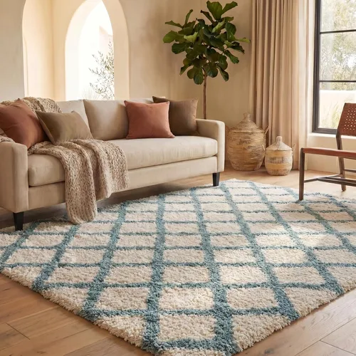 Vista 67 de Colección Safavieh Shag