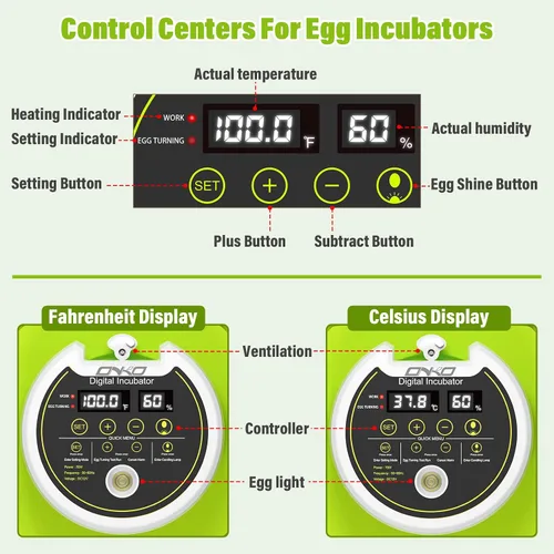 Vista 9 de Incubadora de huevos de codorniz para incubar 40 huevos de codorniz con Verde