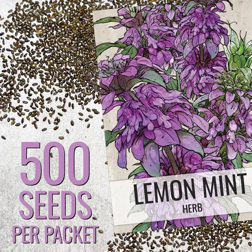 Vista 3 de Seed Needs Semillas de limón y menta para plantar hierbas anuales sin OMG, 1 paquete