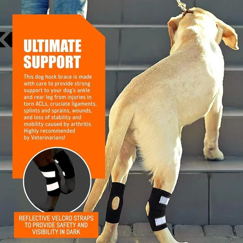 Vista 5 de Dog Knee Brace for ACL, Arthritis & Injury - 2 Pack Adjustable Dog Leg Support Wrap with Reflective Strips, Breathable & Elastic Dog Knee Pads for