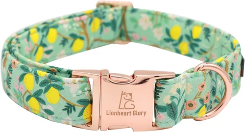 Vista 45 de Lionheart glory Collar de perro, collar azul para perros pequeños, collar de dinosaurio ajustable para perros pequeños, regalo para mascotas