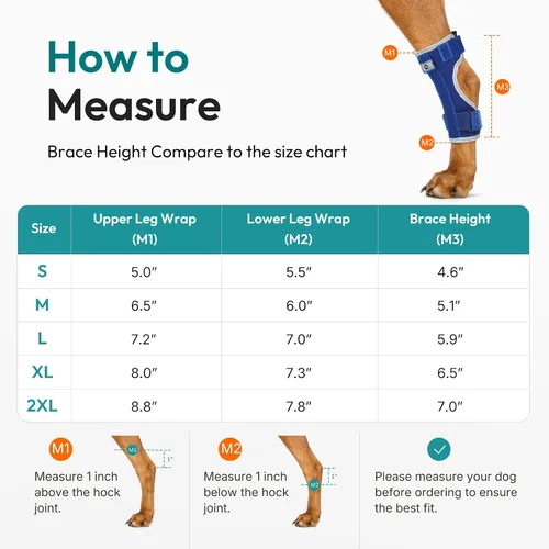 Vista 4 de Dog Leg Brace for Hock Joint, Dog Splint Ankle for Arthritis, Sprains S Azul