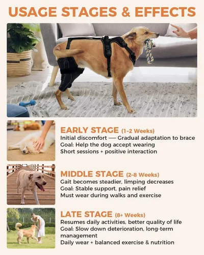 Vista 6 de Rodillera para Perro para ACL/CCL Desgarrado Pata Trasera, Soporte Ajustable con Suficiente Envoltura y Soporte y Luxación de Rótula, Soporte