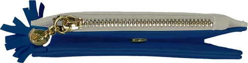 Vista 3 de Littlearth NFL Denver Broncos Mini Organizer, Team Color, One Size Dallas Cowboys