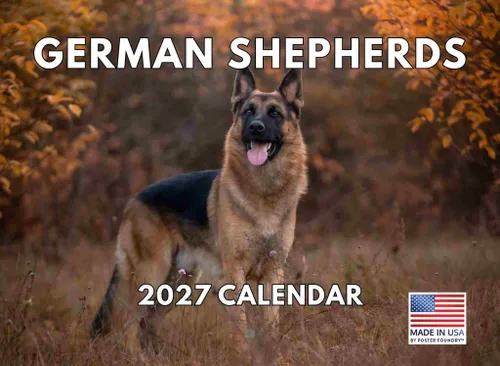 Vista 44 de Calendario mensual de pared Airedale Terrier Dog 2027