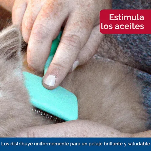 Vista 6 de Coastal Pet Li'l Pals - Cepillo deslizante para gatitos con puntas recubiertas