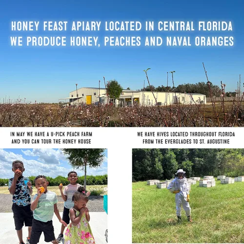 Vista 3 de Honey Feast Flower Powered Allergy Blend 10 veces miel, 12 onzas