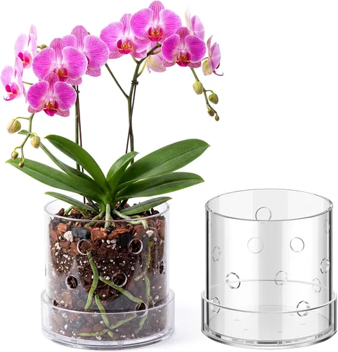 Vista 10 de Maceta de orquídea acrílica transparente de 4 pulgadas con agujeros redondos de 360° y bandeja