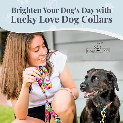 Vista 8 de Lucky Love Dog - Collar para perras pequeñas, diseño Blackbird de estampado alegre con flores de primavera y verano, talla XS Collar Blackbird