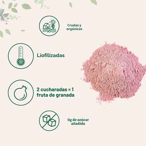 Vista 3 de Jugo de granadas orgánicas en polvo, 1 libra (91 porciones), liofilizado y prensado en frío, vitamina C natural, refuerza el sistema inmunitario