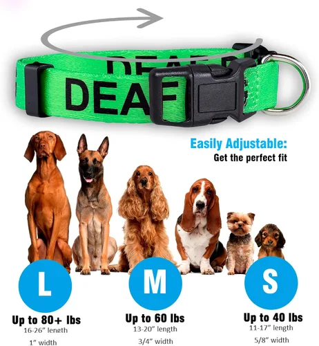 Vista 3 de Collar para perros sordos Advertencia de dificultad auditiva (pequeño)