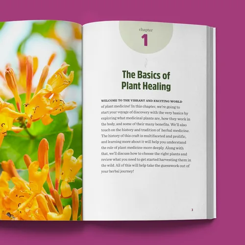 Vista 4 de The Beginner's Guide to Medicinal Plants 50 Essential Wild Herbs to Identify, Harvest, and Use