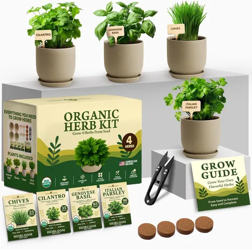 Vista 12 de HOME GROWN Kit de hierbas de regalo: juego de 8 semillas de hierbas con albahaca, cilantro, menta y más, kit completo de cultivo