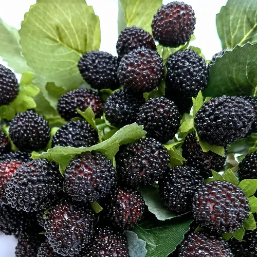 Vista 4 de M2cbridge 4 piezas artificiales de bayas rojas frambuesas de frutas falsas BlackBerry Props decoración de mesa (negro)
