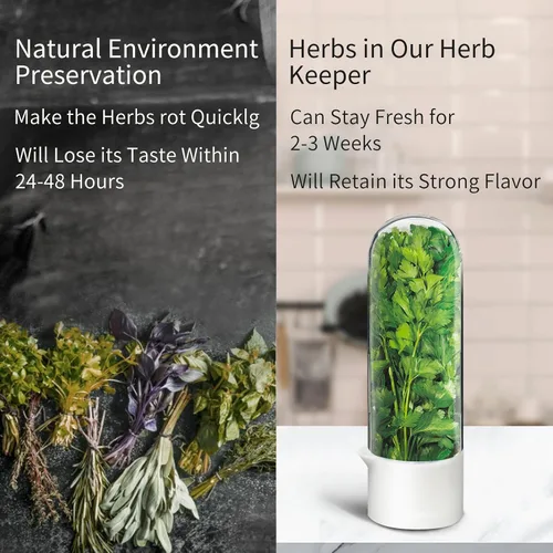 Vista 7 de Conservador de hierbas para refrigerador, protector de hierbas para refrigerador, botella de conservación de verduras para cilantro, menta, perejil