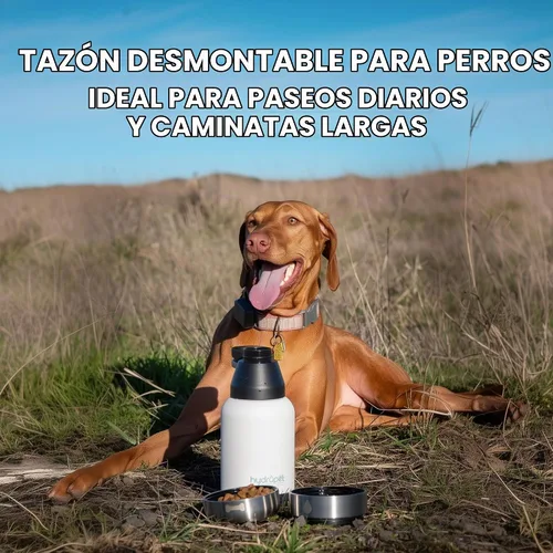 Vista 4 de Hydropet Botella de agua portátil para perros (32 onzas), botellas aisladas de viaje para perros y gatos, acero inoxidable, cuenco de comida