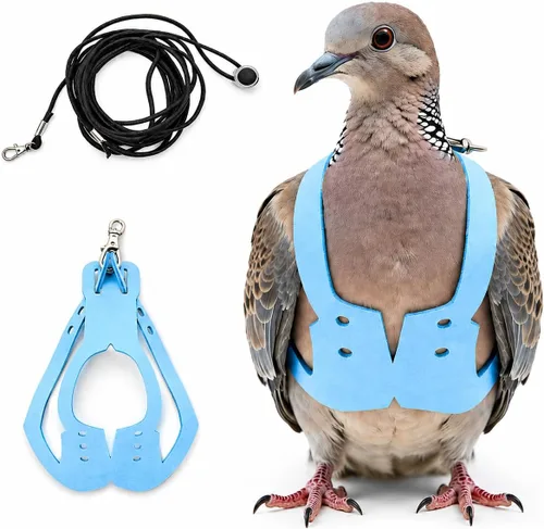 Vista 10 de Juego de arnés ajustable y correa para pájaros pequeños, apto para periquitos, conures, cacatúas, mejillas verdes, loros cuáqueros (verde, XS) 6350-6