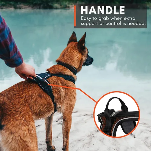 Vista 10 de Non-stop dogwear Rock Arnés ajustable para perros pequeños con 3 clips para correa, asa y reflectante, negro/naranja, talla XS
