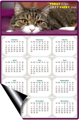 Vista 2 de Calendario magnético 2026 – Imanes del calendario – Today is my Lucky Day – Resistente a la decoloración, desgarros y agua – Temática de gato 022
