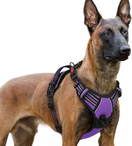 Vista 69 de Rabbitgoo - Arnés para perro de tamaño pequeño, arnés para mascotas sin tirones con 3 hebillas, chaleco acolchado suave ajustable con mango
