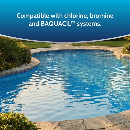Vista 8 de 84464 Limpiador de algicida para piscina Performance Algicida, 1 cuarto de galón