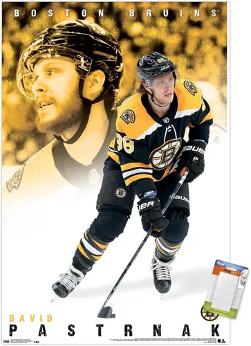 Vista 10 de Trends International NHL Boston Bruins - Póster de pared de David Pastrnák 19, 22.375 x 34 pulgadas, versión premium sin marco