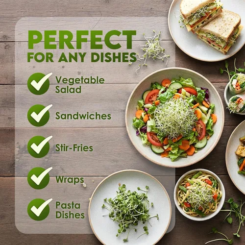 Vista 6 de Nature Jims Sprouts Semillas de alfalfa – Kit de cultivo de brotes orgánicos sin OMG para plantar – Bolsa resellable premium para semillas frescas