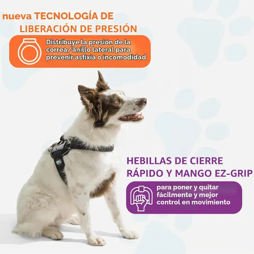 Vista 6 de Joyride Harness 2.0 - El Arnés Original para Perros Sin Tirones con Anillo Lateral - Sin Estrangulamiento, A Prueba de Escapes, Reflectante, 3 Clips
