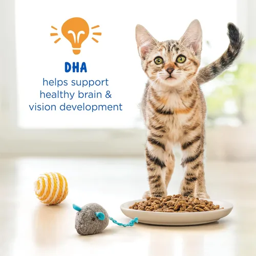 Vista 4 de Alimento seco para gato con fórmula nutritiva de Purina Kitten Chow, 14 lb