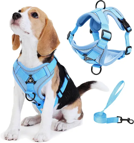Vista 8 de Arnés para perro Jolifield sin tirones con juego de correa para perros pequeños, arnés de chaleco para gatos con clip frontal ajustable reflectante