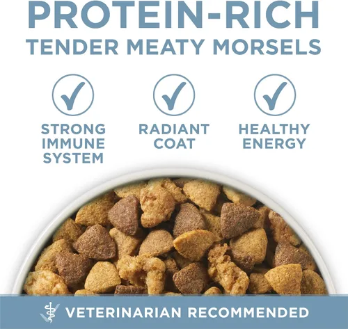 Vista 7 de Purina ONE Plus Fórmula para la salud de las articulaciones, alimento seco natural para perros con vitaminas, minerales y nutrientes añadidos