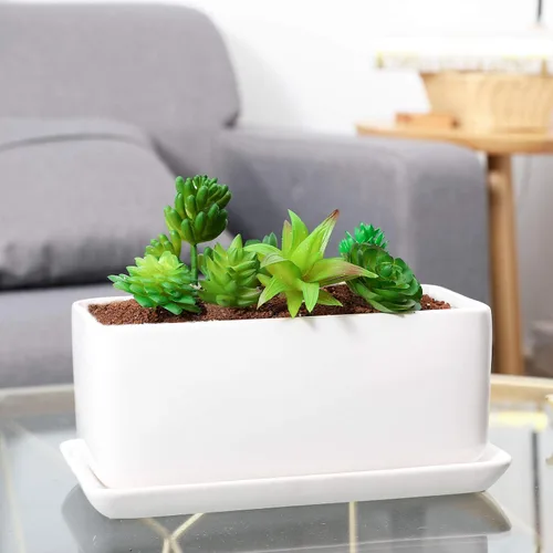 Vista 6 de Maceta rectangular de cerámica blanca de 10 pulgadas, maceta para suculentas, cactus, hierbas, flores, caja de ventana, platillo, bandeja de goteo