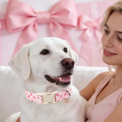 Vista 148 de DOGWONG Collar para perro de San Valentín, collar ajustable de algodón con corazón de caramelo azul, perfecto para perros pequeños a medianos